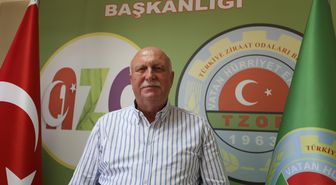 Sakarya'da fındık rekoltesi 89 bin ton bekleniyor