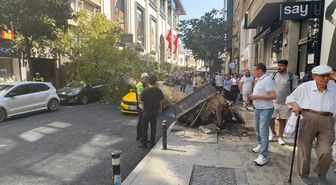 Şişli'de Devrilen Ağaç Park Halindeki 2 Araca Zarar Verdi