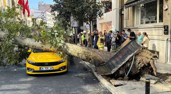 Şişli'de devrilen ağaç hasara yol açtı