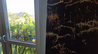 Bingöllü Ressam Mahmut Celayir: Doğanın ve Belleğin İzlerini Tuvalde Buluşturuyor