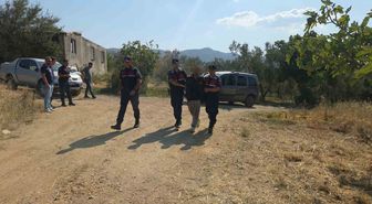 Zeytinlikte Yakalanan Çalıntı Araç Operasyonu