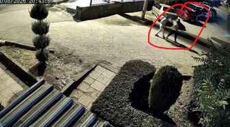 Diyarbakır'da Dehşet: Boşanma Aşamasındaki Eş, Kucağında Çocuğu Varken Kadını Öldürdü