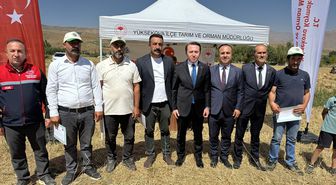 Yüksekova'da Buğday Hasadı Şenliği