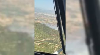 Ödemiş'te Orman Yangını: Havadan ve Karadan Müdahale Sürüyor