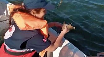 Beyler Barajı'nda Kaçak Ağ Operasyonu: 2 Bin Metre Ağ Ele Geçirildi
