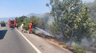 Ula'da yol kenarı yangını ormanlık alana sıçramadan söndürüldü
