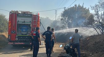 Ödemiş'te zeytinlik yangını kontrol altında