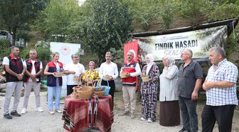 Sakarya'da Fındık Hasat Şenliği: Rekolte 89 Bin Ton