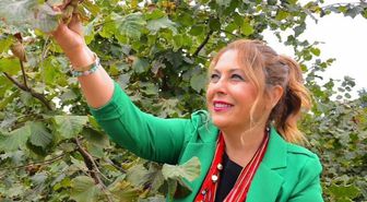 Elvan Işık Gezmiş'ten Fındık Üreticisine Destek Çağrısı: FİSKOBİRLİK ve TMO Göreve