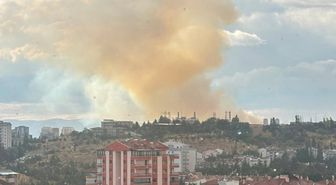 Etimesgut'ta otluk alanda yangın