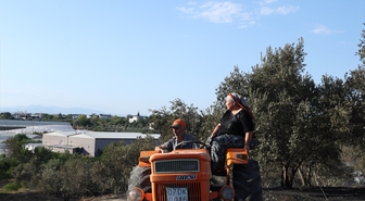Antalya'da yangın: Zirai alandan ormana sıçradı, kontrol altında