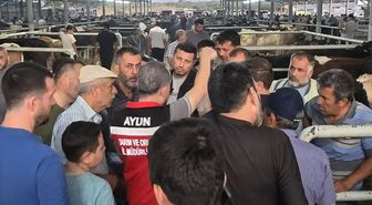 Aydın'da Hayvan Pazarlarında Küpesiz Hayvan Denetimi