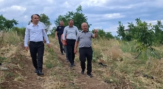 İskilip'te çilek ve ceviz üretiminde inceleme