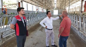 Kargı'da Damızlık Sığır İthalatı İçin İşletme Denetimi