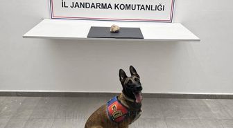 Şanlıurfa'da Uyuşturucu Operasyonu: 500 Gram Sentetik Kannobinoid Ele Geçirildi, 1 Tutuklama