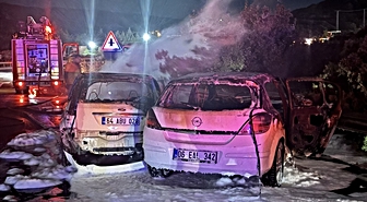 Kaş'ta İki Otomobil Çarpıştı: 5 Yaralı