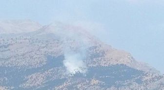 Siirt'te Kalems Dağı'nda Yangın
