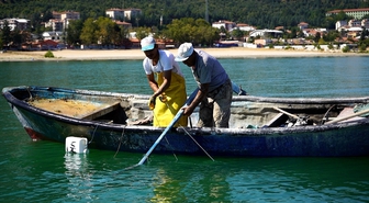 Eğirdir Gölü'nde Kerevit Sezonu: Bin Üreticiye Geçim Kaynağı