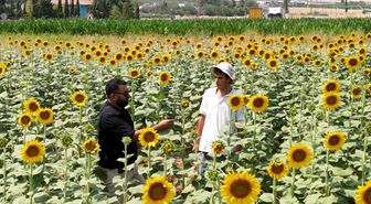 GAP ile Şanlıurfa'da tarım dönüştü: Ürün çeşitliliği arttı