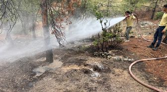 Kilis'te Yıldırım Kaynaklı Orman Yangını Söndürüldü