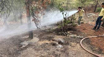 Kilis'te yıldırım yangını hızla söndürüldü