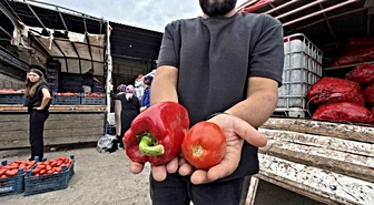Osmaniye'de Kışlık Hazırlık Telaşı: Salçalık Biber ve Domates Fiyatları Uygun