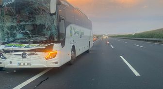 Şanlıurfa'da Otobüs Tıra Çarptı: 2 Yaralı