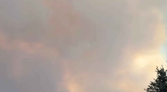 Muğla'dan Yayılan Orman Yangınına Müdahale Sürüyor