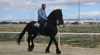 Afyonkarahisar'da Zafer Kupası Rahvan At Yarışları Başladı