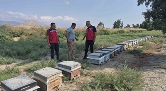 Hatay'da Arıcılık İşletmesine Bal Sağım Sezonu Ziyareti