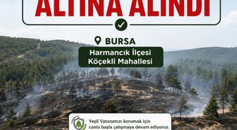Bursa'da Orman Yangını 2,5 Saatte Kontrol Altına Alındı