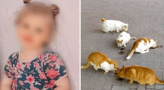 Kedi ısırmıştı: 4 yaşındaki çocuk kuduzdan hayatını kaybetti