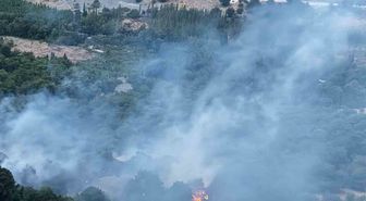 Adıyaman'da Yıldırım Kaynaklı Orman Yangını Söndürüldü