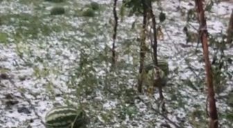 Elazığ'da Fırtına ve Dolu Zararı