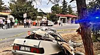 Kahramanmaraş'ta Otomobil Ağaca Çarptı: 1 Ölü, 2 Yaralı