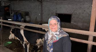 Danayı kuyruğunu keserek yaralayan şüpheli gözaltında