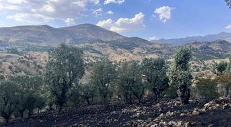 Siirt'te Yangınlarla Mücadele Sürüyor