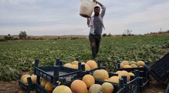 Adanalı üretici aracısız satışla kazandı