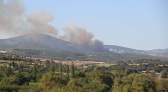 Çanakkale Bayramiç'te Orman Yangını