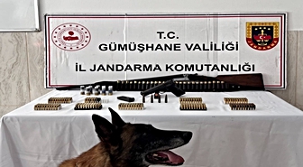 Gümüşhane'de Eve Silah Baskını: Çok Sayıda Ruhsatsız Silah ve Mühimmat Ele Geçirildi