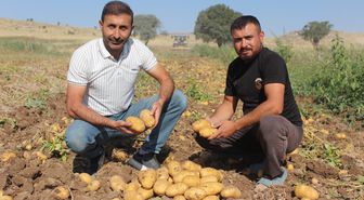 Aksaray'da patates fiyatları düştü, markette zam