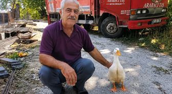 Torunlarının Ördeğine Sahip Çıkan Dede