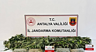 Alanya'da Uyuşturucu Operasyonu: 1 Gözaltı