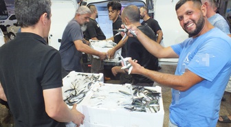 Bandırma'da Balık Sezonu Açıldı: Palamut ve Sardalya Mezatta