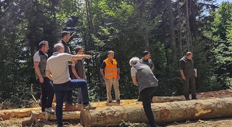 Bolu Orman Bölge Müdürü Kanbur'dan saha denetimi