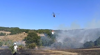 İznik'te Orman Yangını: Ekipler Havadan ve Karadan Müdahale Ediyor