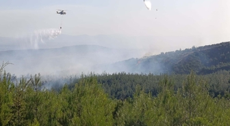 Bayramiç'teki Orman Yangınında 8 Hektar Zarar Gördü