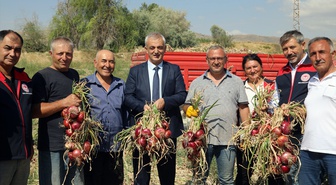 Kılıçlar Soğanı Hasadı Gerçekleştirildi