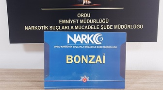 Ordu'da Torbacı Operasyonu: 1 Tutuklama
