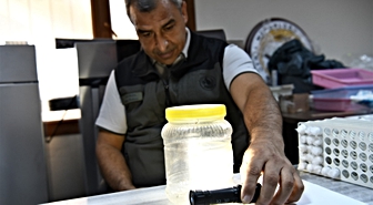Mersin'de Biyolojik Mücadele Laboratuvarında 40 Bin Faydalı Böcek Üretildi
